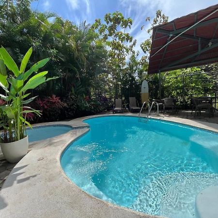 La Jungla Bed & Breakfast Puerto Carrillo Eksteriør bilde